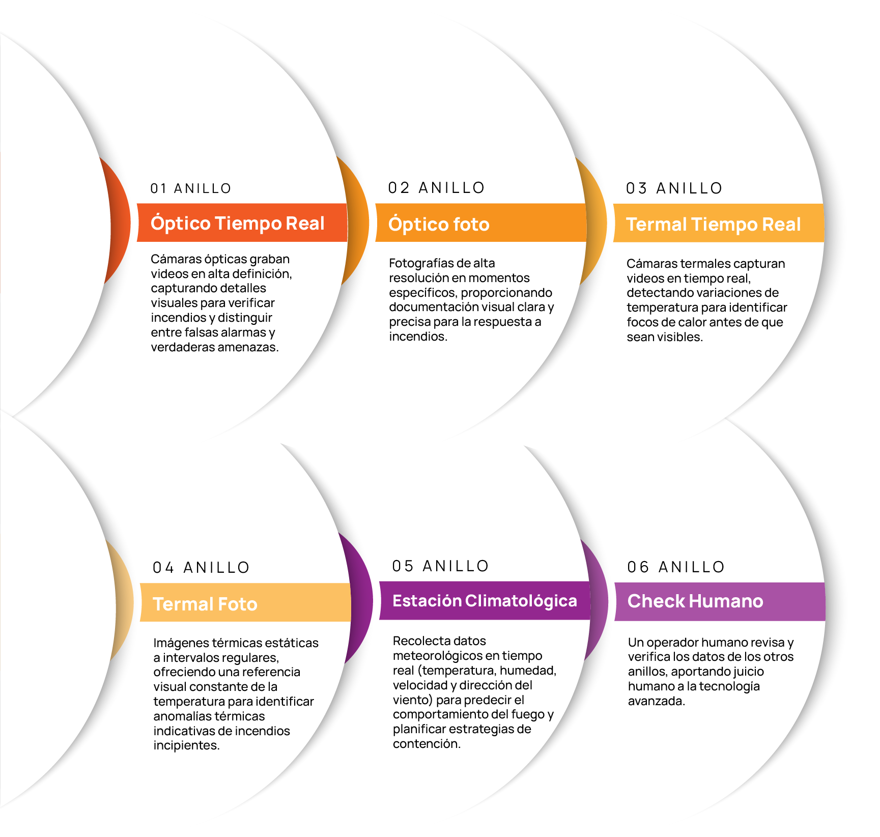 anillos telefono anillos telefono